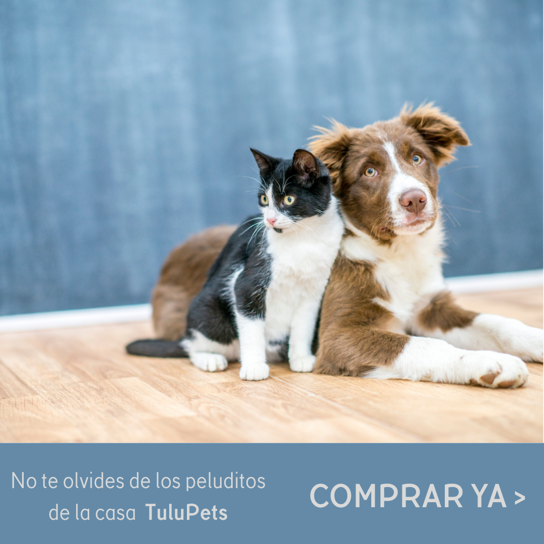 TuluPets — No te olvides de los peluditos